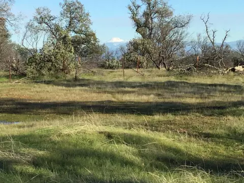 14141 Ohio Buckeye Ln, Igo, CA 96047 photo 3