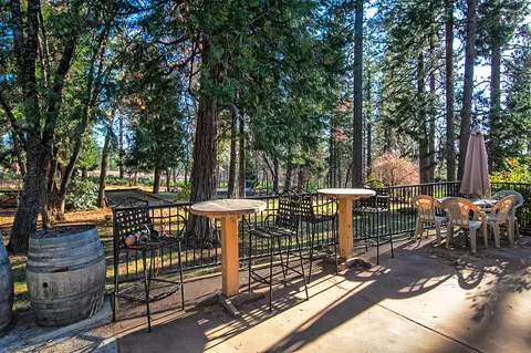 32505 Forward Rd, Manton, CA 96059 photo 28