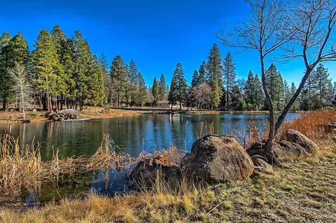 32505 Forward Rd, Manton, CA 96059 photo 13