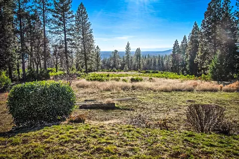 32505 Forward Rd, Manton, CA 96059 photo 20