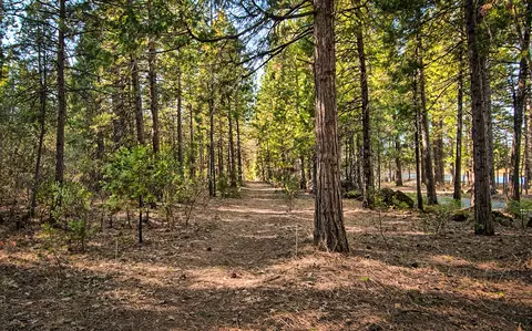 32505 Forward Rd, Manton, CA 96059 photo 68