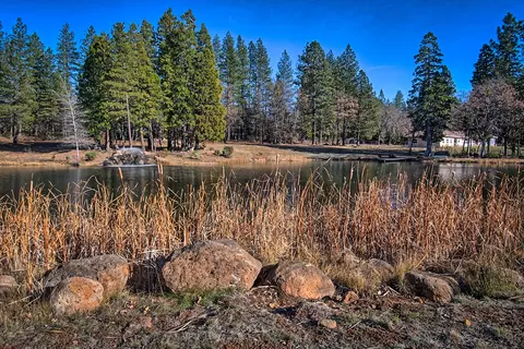 32505 Forward Rd, Manton, CA 96059 photo 12