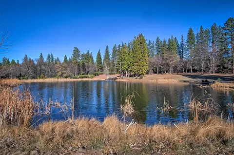 32505 Forward Rd, Manton, CA 96059 photo 2
