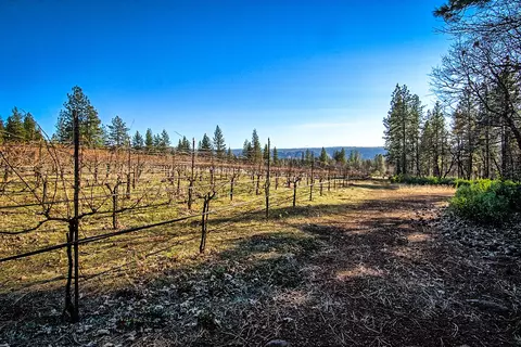 32505 Forward Rd, Manton, CA 96059 photo 32