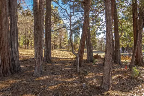 32505 Forward Rd, Manton, CA 96059 photo 16