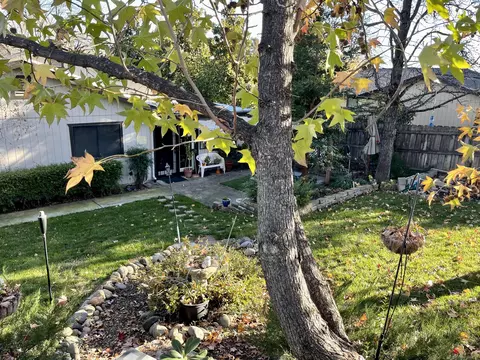 2138 Renoir Path, Redding, CA 96001 photo 20