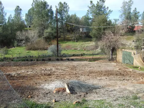 13582 Oak Run Rd, Oak Run, CA 96069 photo 11