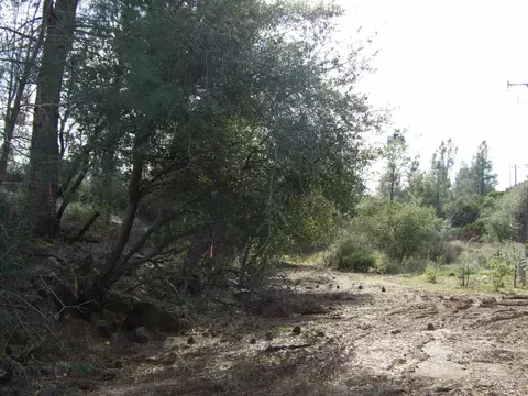 13582 Oak Run Rd, Oak Run, CA 96069 photo 14