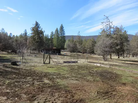 23570 Cassel Fall Riv, Fall River Mills, CA 96028 photo 32