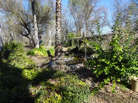 13066 Tamera Way, Redding, CA 96003 photo 13