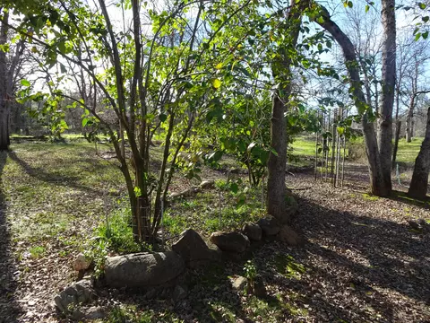 13066 Tamera Way, Redding, CA 96003 photo 24