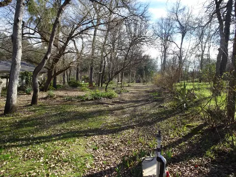 13066 Tamera Way, Redding, CA 96003 photo 27