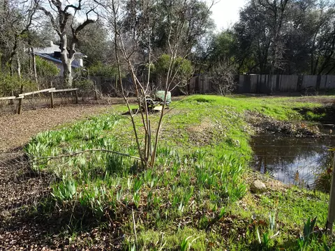 13066 Tamera Way, Redding, CA 96003 photo 31