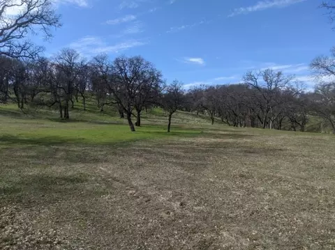 22580 Rio Robles Dr, Red Bluff, CA 96080 photo 3