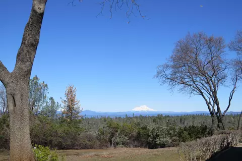 28334 Alpine Way, Shingletown, CA 96088 photo 46