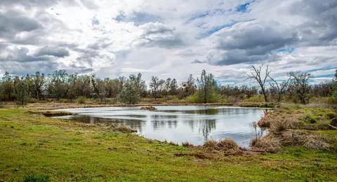 13808 Murphy Ln, Oak Run, CA 96069 photo 44