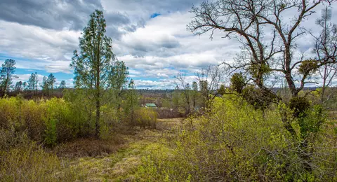 13808 Murphy Ln, Oak Run, CA 96069 photo 47