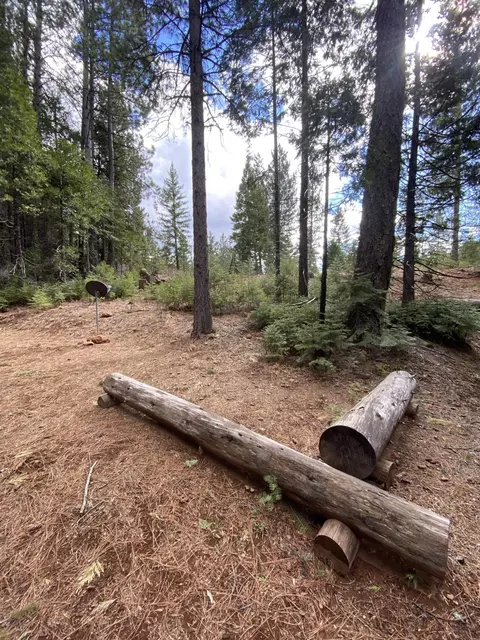 7517 Red Eagle Rd, Shingletown, CA 96088 photo 43