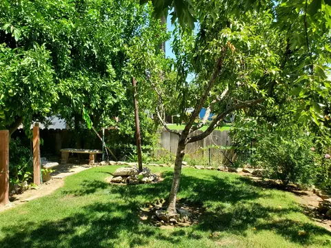 145 Chestnut Ave, Red Bluff, CA 96080 photo 38