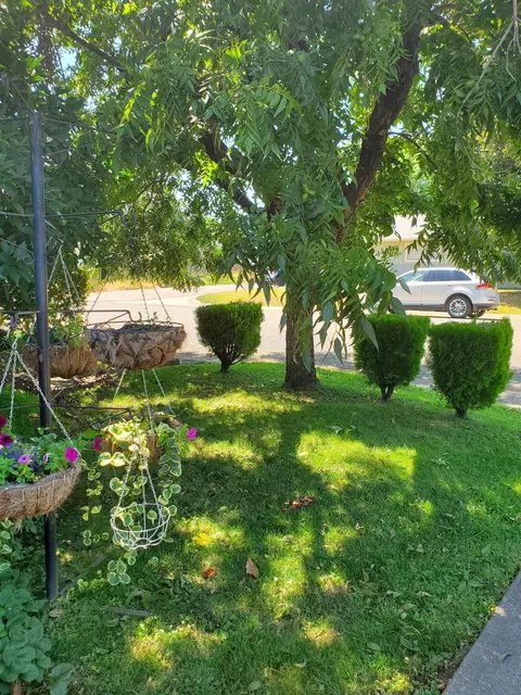 145 Chestnut Ave, Red Bluff, CA 96080 photo 33