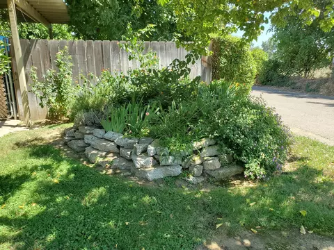 145 Chestnut Ave, Red Bluff, CA 96080 photo 31