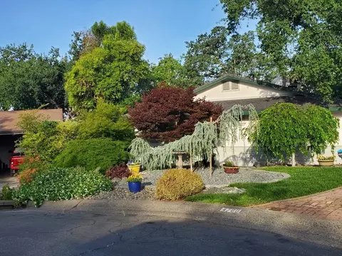 4760 Rocky Ridge Ct, Redding, CA 96001 photo 20