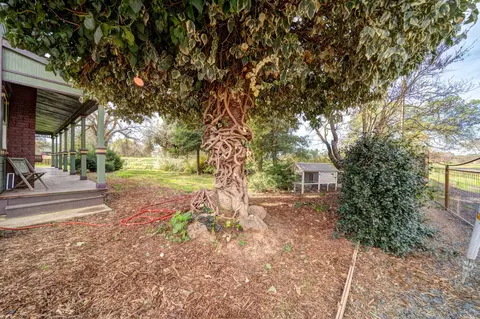 23485 I St, Corning, CA 96021 photo 60