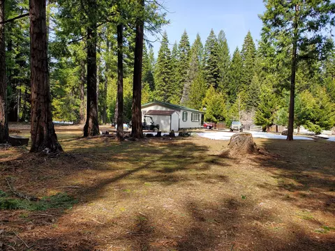 35357 Nehemiah Dr, Shingletown, CA 96088 photo 19