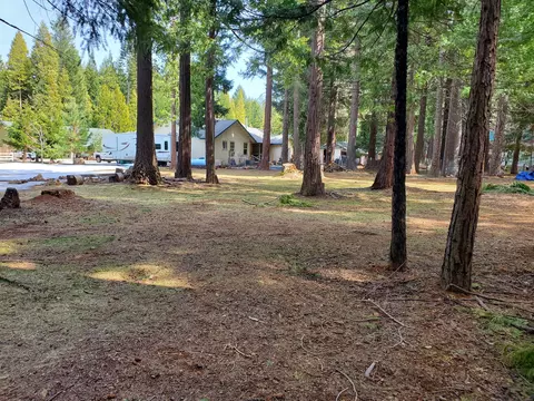 35357 Nehemiah Dr, Shingletown, CA 96088 photo 18