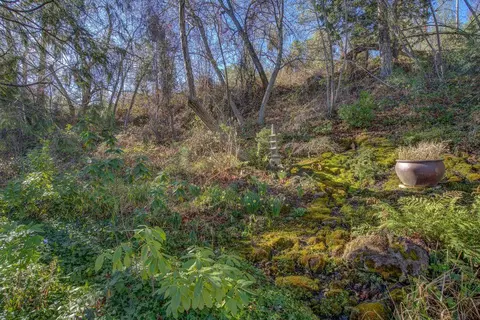 29571 Whitmore Rd, Whitmore, CA 96096 photo 100