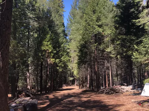30601 One Hundred, Shingletown, CA 96088 photo 1