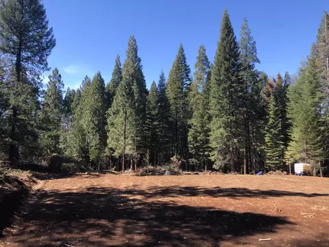 30601 One Hundred, Shingletown, CA 96088 photo 2
