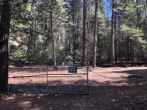 30601 One Hundred, Shingletown, CA 96088 photo 8