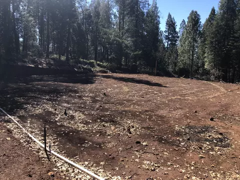 30601 One Hundred, Shingletown, CA 96088 photo 6