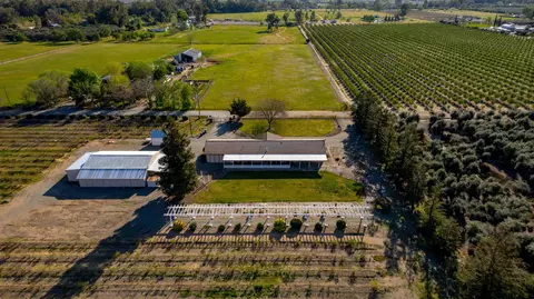 3325 Houghton Ave, Corning, CA 96021 photo 91