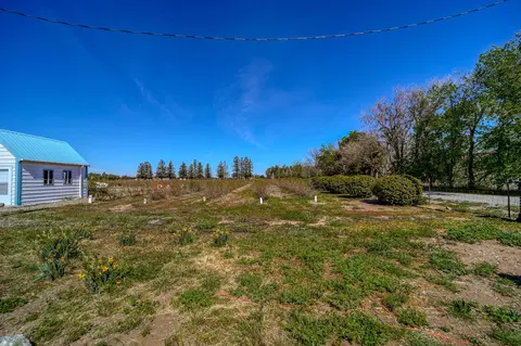 3325 Houghton Ave, Corning, CA 96021 photo 78