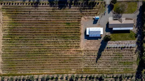 3325 Houghton Ave, Corning, CA 96021 photo 30