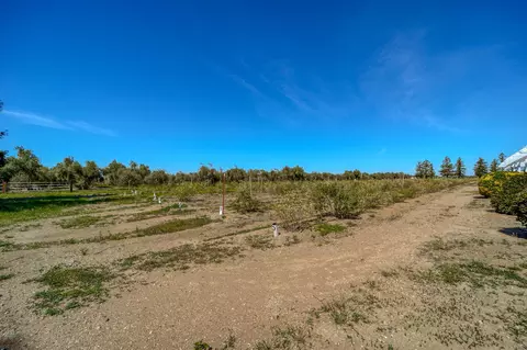 3325 Houghton Ave, Corning, CA 96021 photo 70