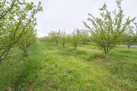 23475 Richfield Rd, Corning, CA 96021 photo 16