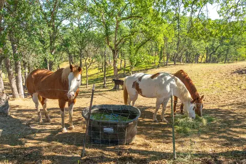 14450 Cramer Rd, Red Bluff, CA 96080 photo 24