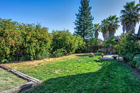 2262 Cilantro Dr, Redding, CA 96003 photo 30