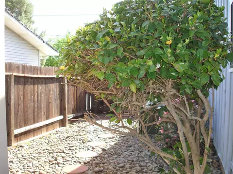 4692 Lookout Ct, Redding, CA 96001 photo 36