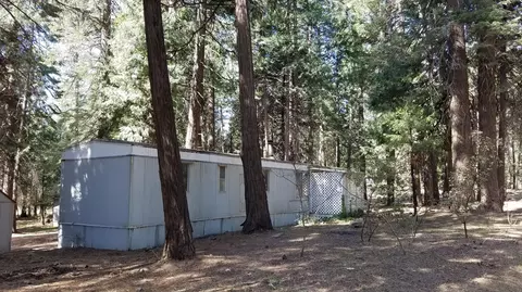 33153 Sites Rd, Shingletown, CA 96088 photo 3