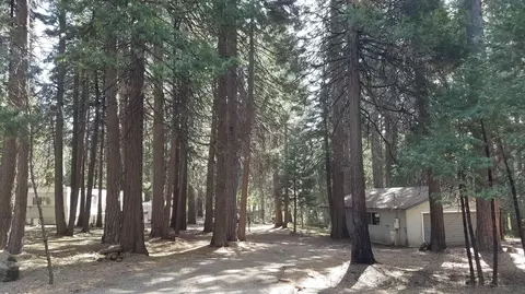 33153 Sites Rd, Shingletown, CA 96088 photo 9