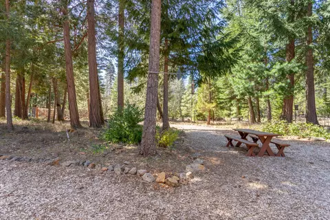 34535 Emigrant Trl, Shingletown, CA 96088 photo 37