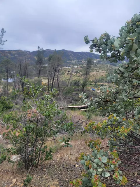 15959 Highland Ct, Redding, CA 96001 photo 4