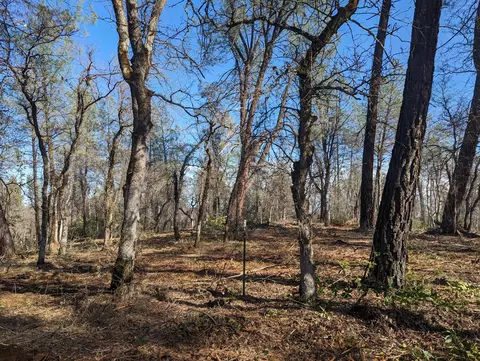 Silver King Rd Lot 1, Redding, CA 96001 photo 3