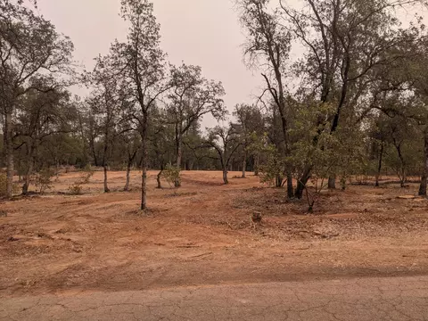 Silver King Rd Lot 1, Redding, CA 96001 photo 8