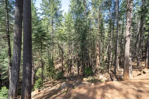 30562 Thumper Dr, Shingletown, CA 96088 photo 75