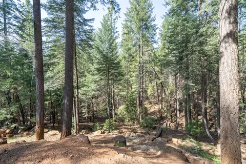 30562 Thumper Dr, Shingletown, CA 96088 photo 74